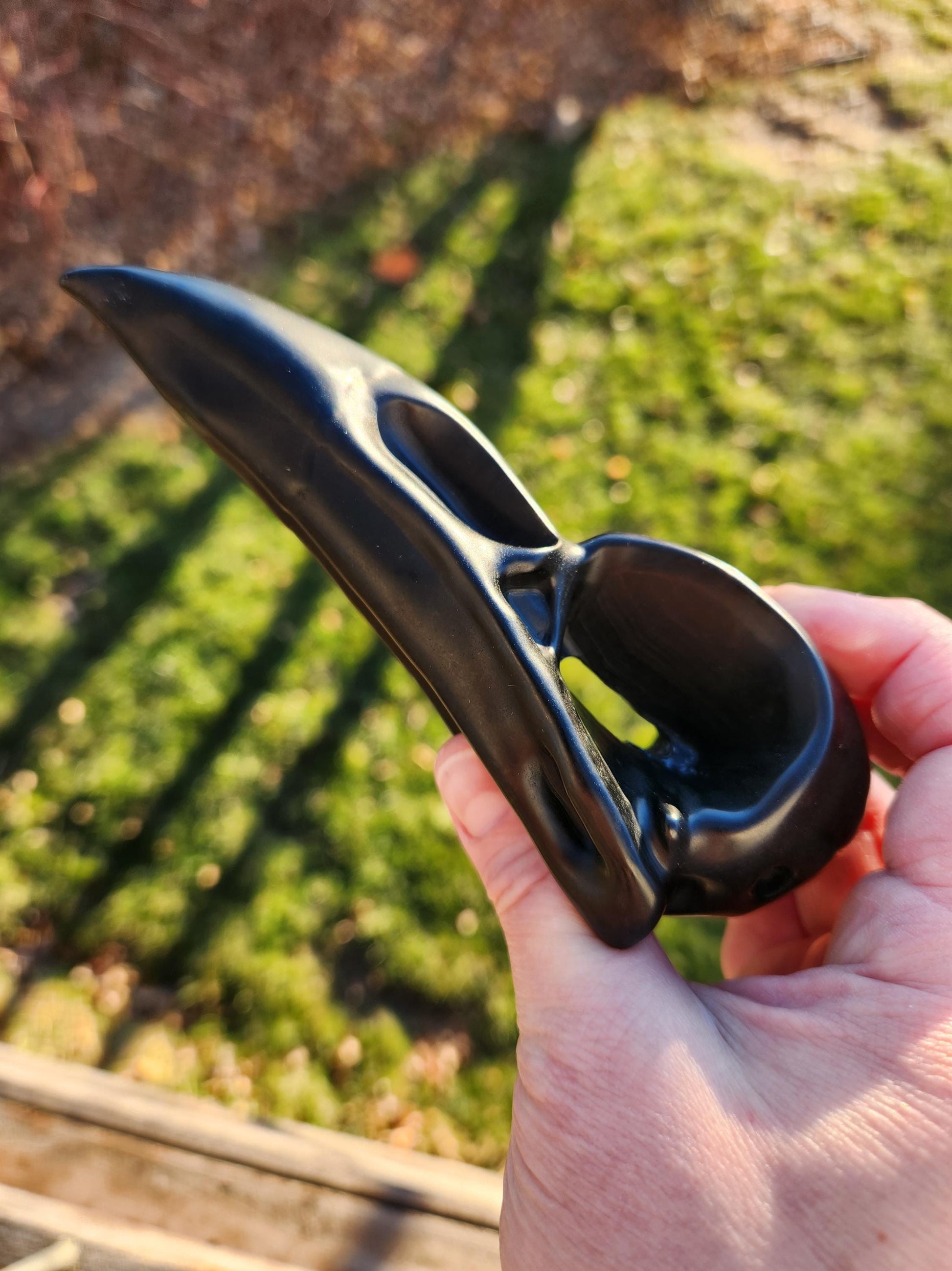 Carved Black Obsidian Large Raven Skull: Crystal Carving, One