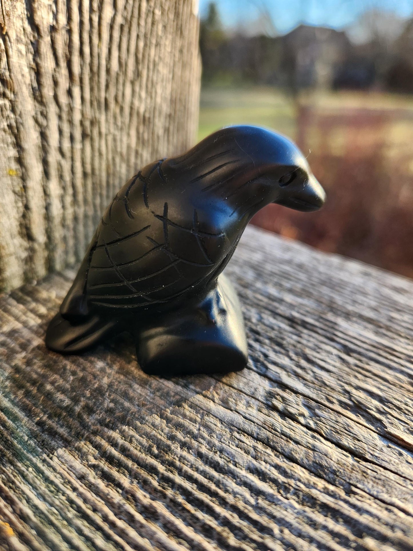Carved Black Obsidian Crow Raven on Stand: Natural Crystal Raven Figurine