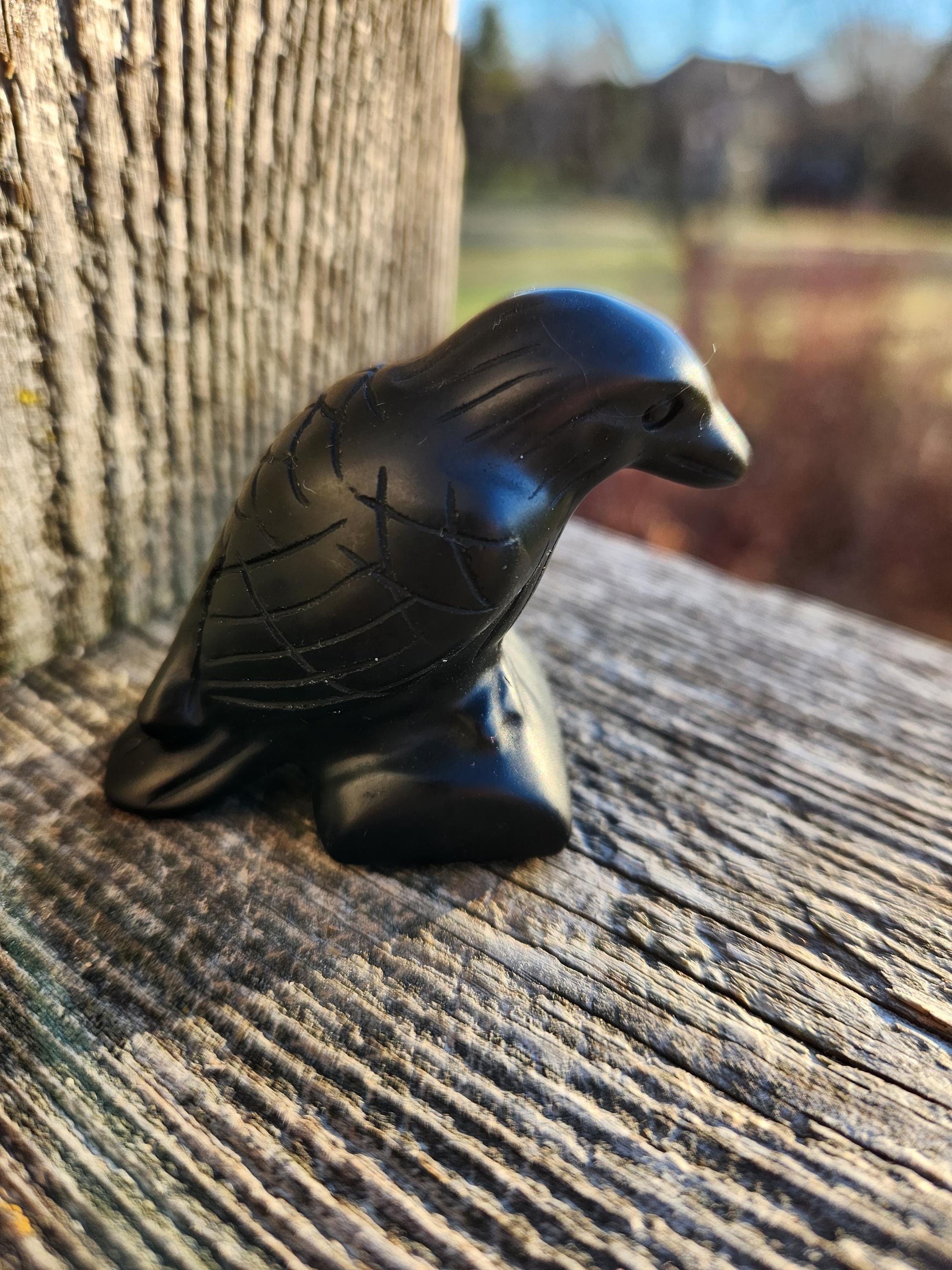 Carved Black Obsidian Crow Raven on Stand: Natural Crystal Raven Figurine