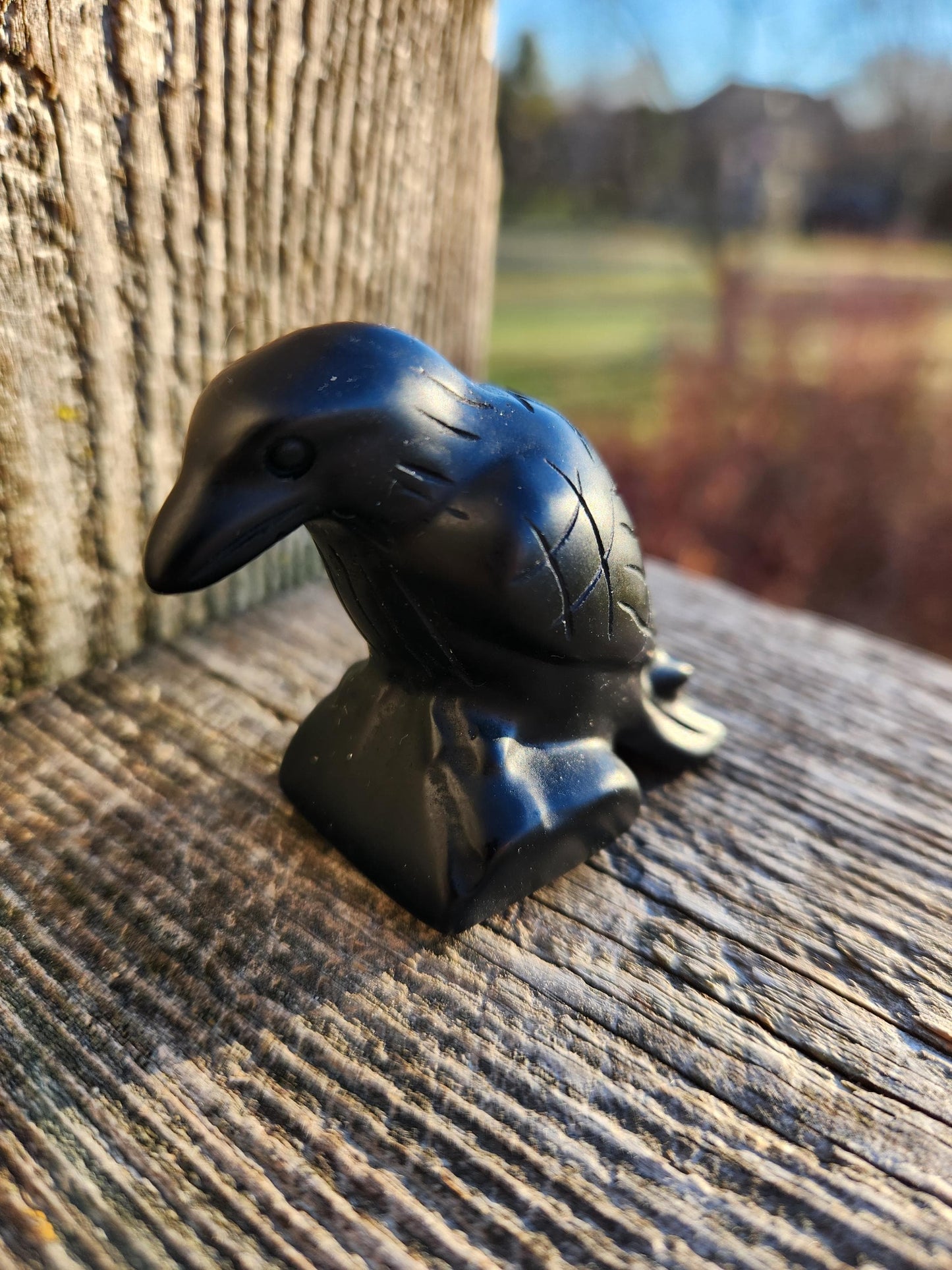 Carved Black Obsidian Crow Raven on Stand: Natural Crystal Raven Figurine