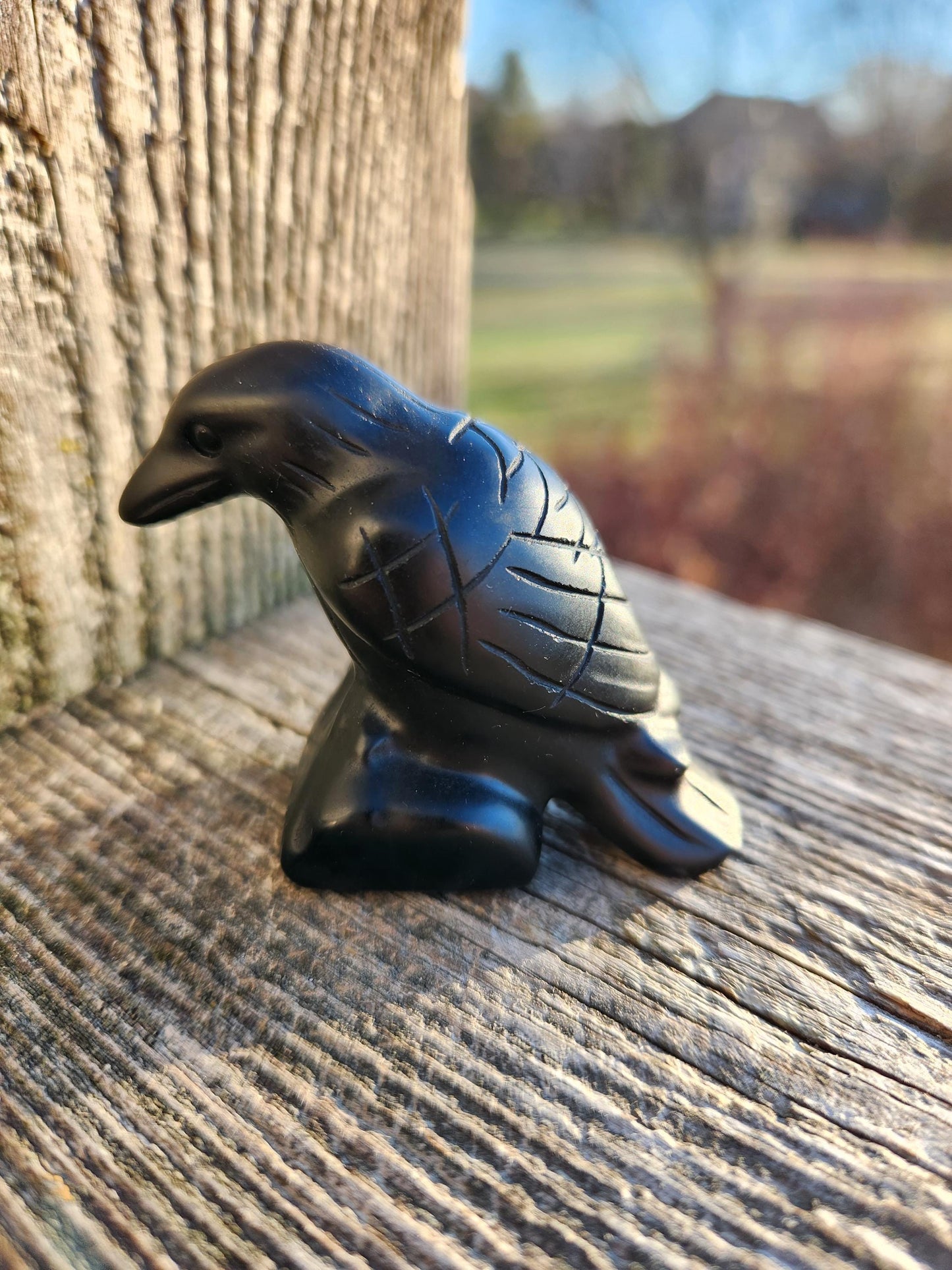 Carved Black Obsidian Crow Raven on Stand: Natural Crystal Raven Figurine