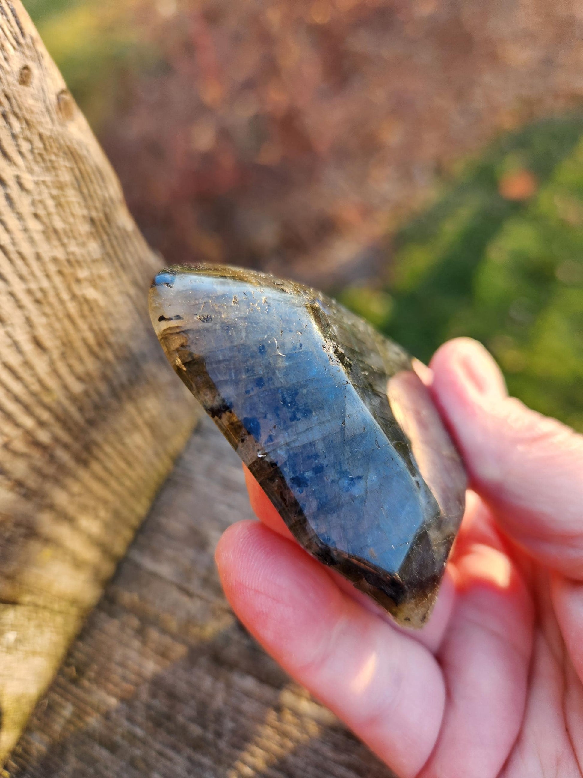 Labradorite Bowl or Dish Carving: Crystal with Blue Flash