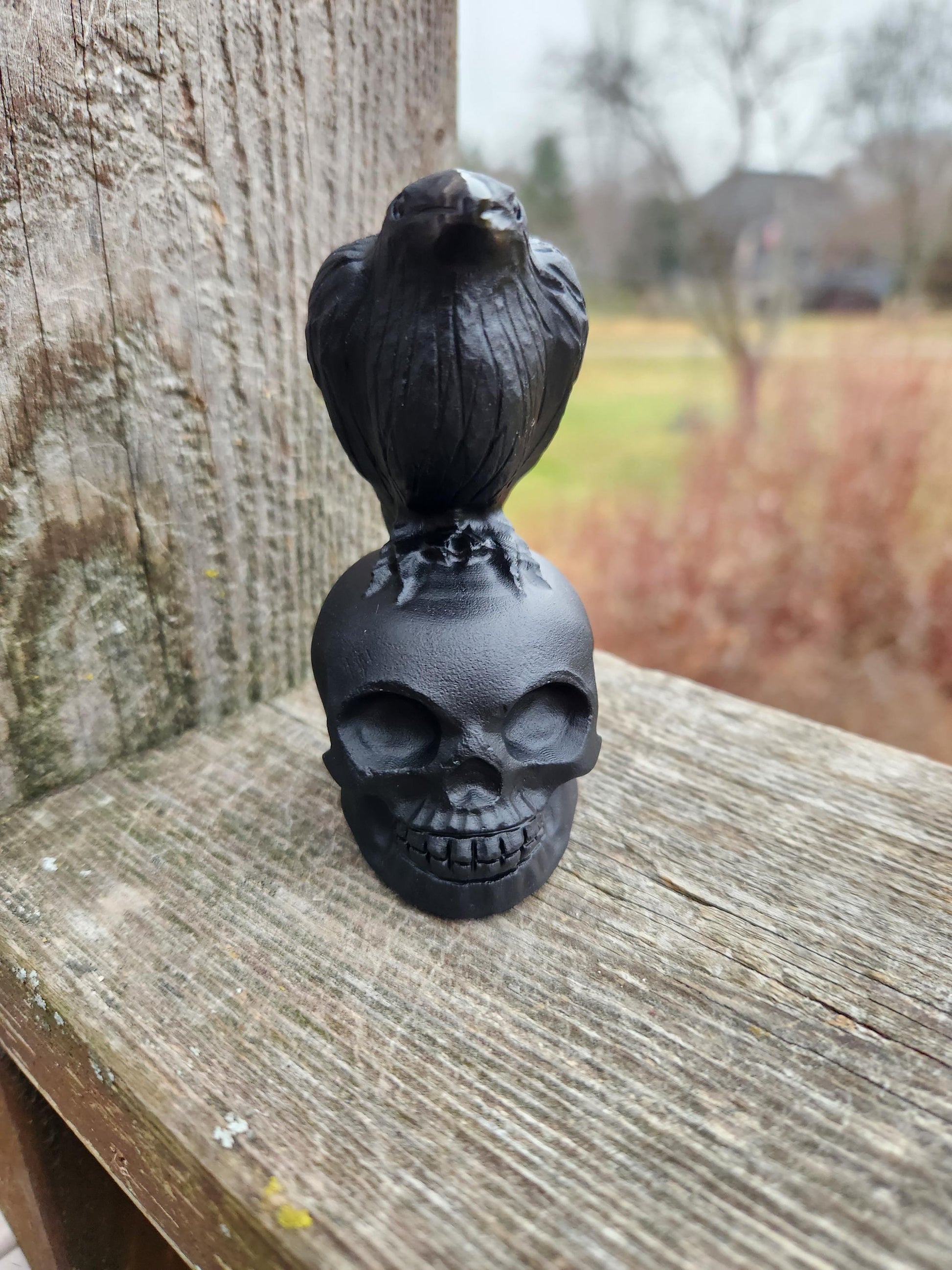 Carved Black Obsidian Crow Raven on Skull: Natural Crystal Raven Figurine