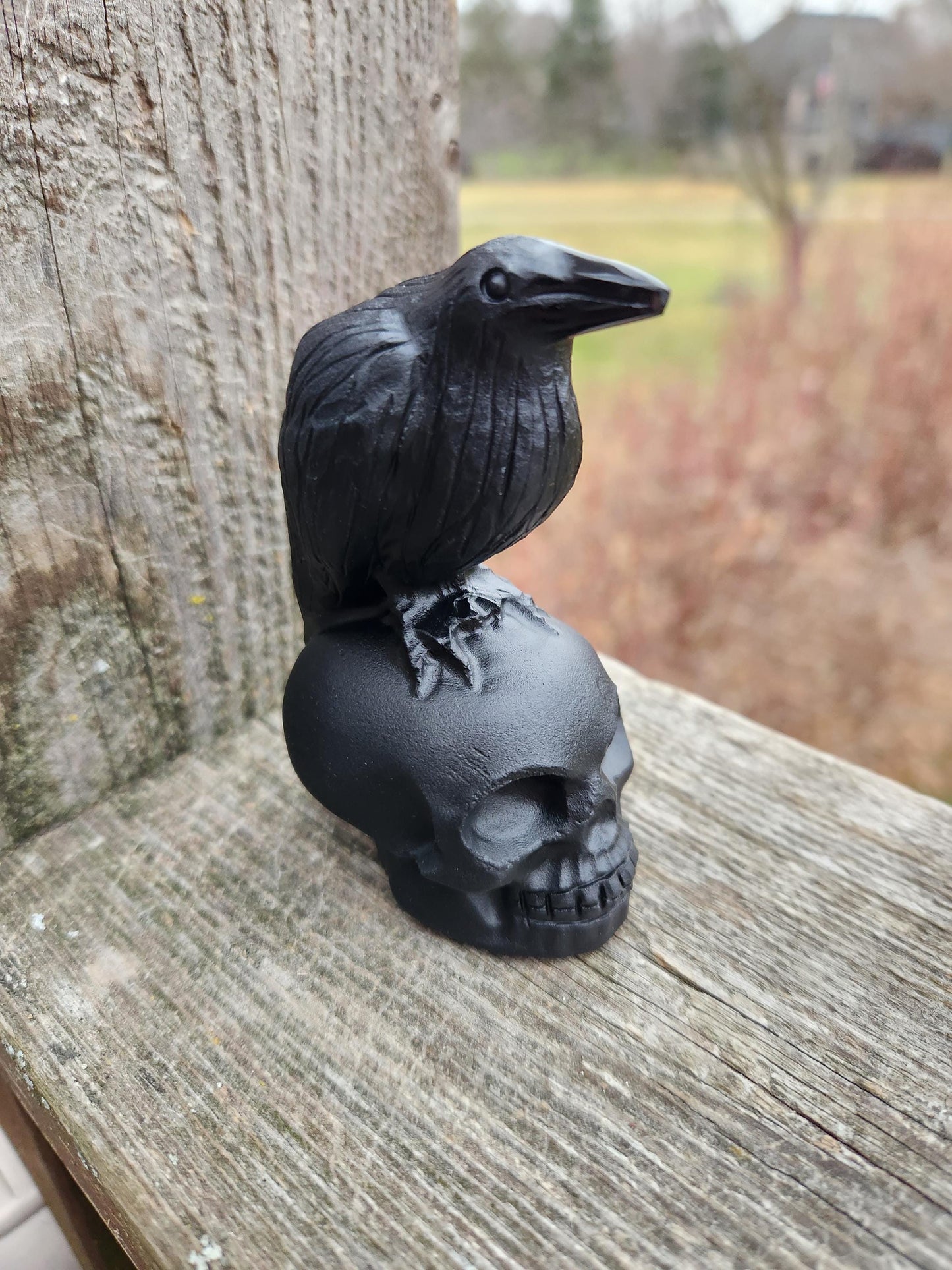 Carved Black Obsidian Crow Raven on Skull: Natural Crystal Raven Figurine