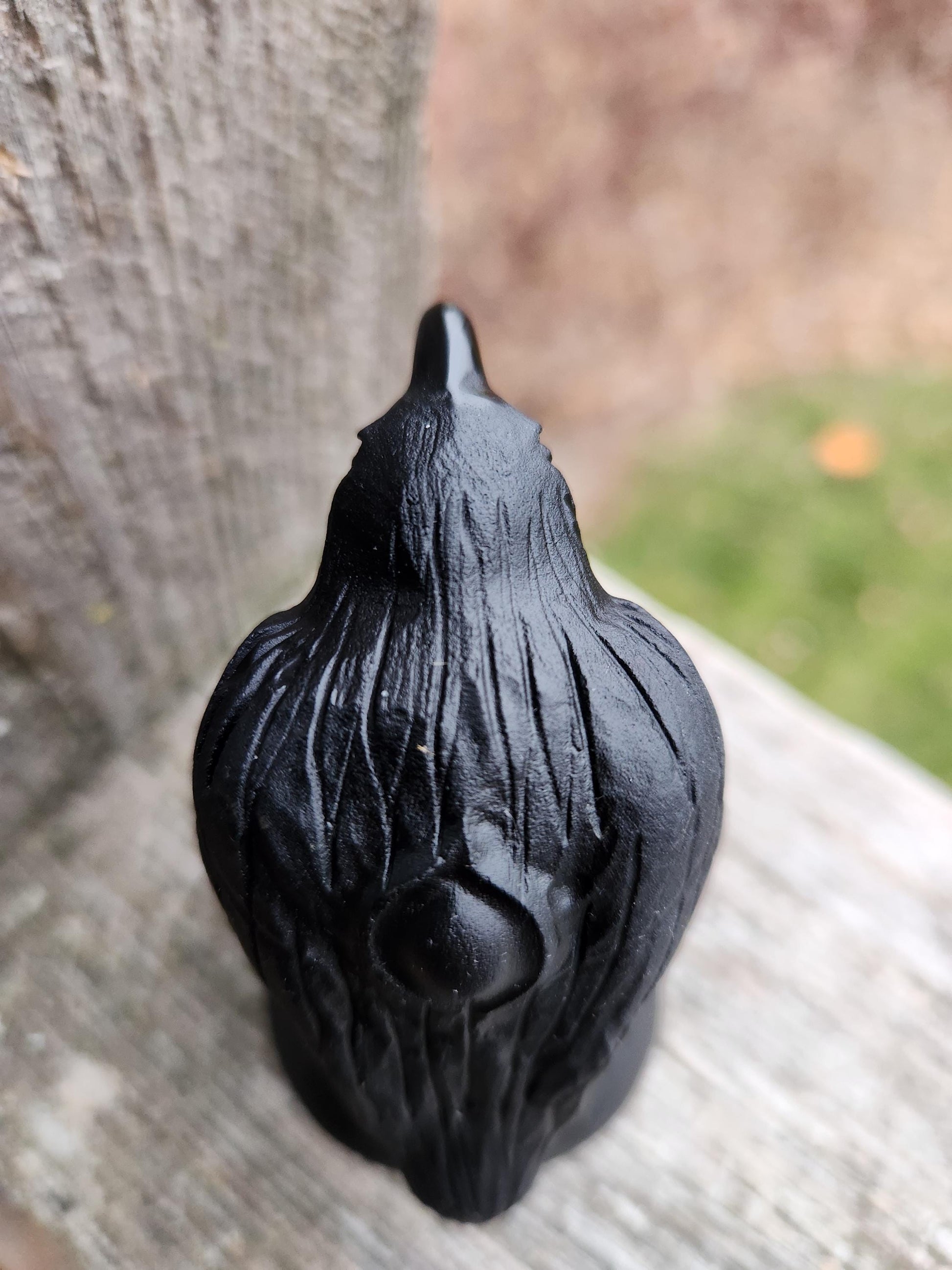 Carved Black Obsidian Crow Raven on Skull: Natural Crystal Raven Figurine