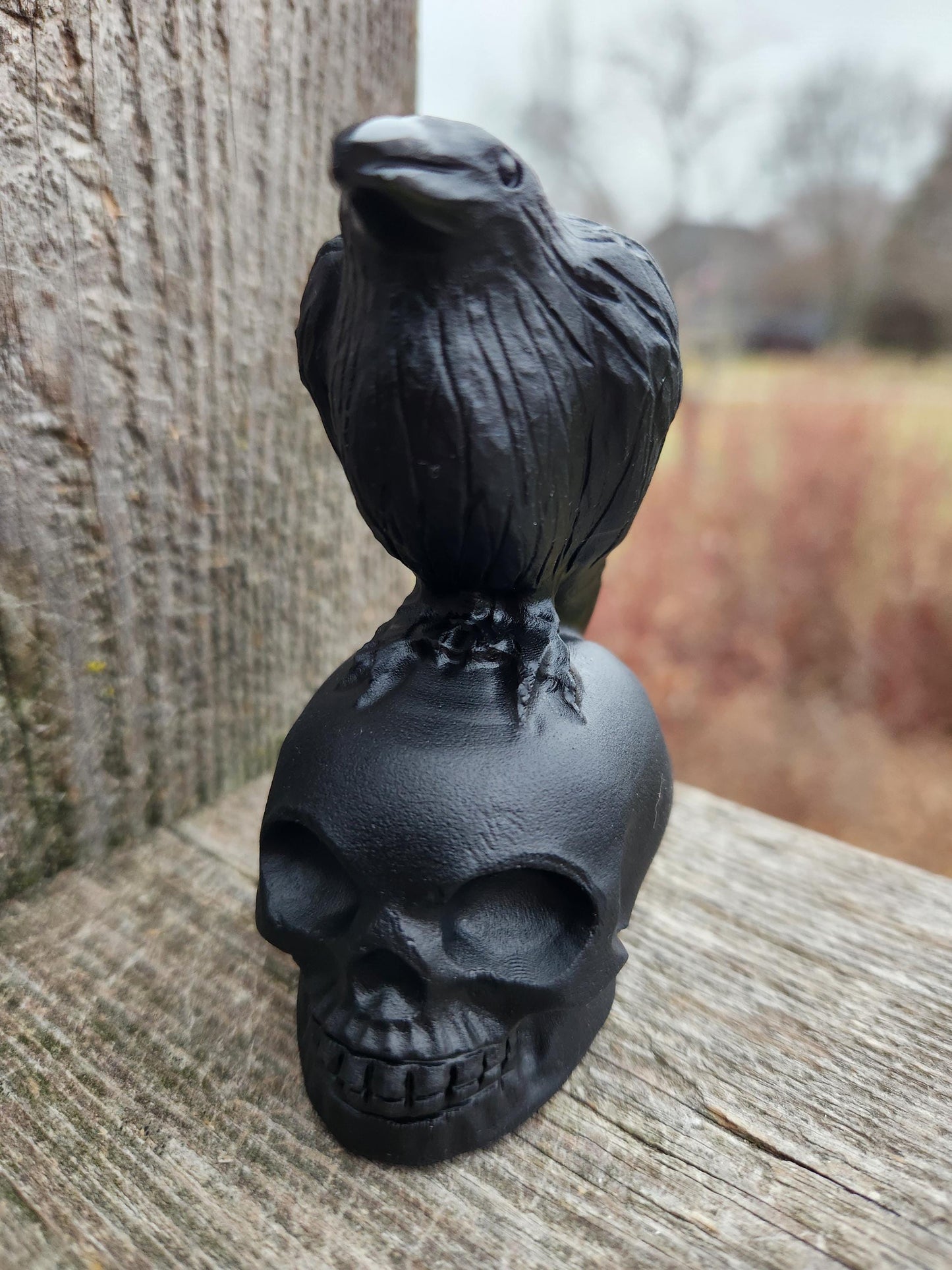 Carved Black Obsidian Crow Raven on Skull: Natural Crystal Raven Figurine