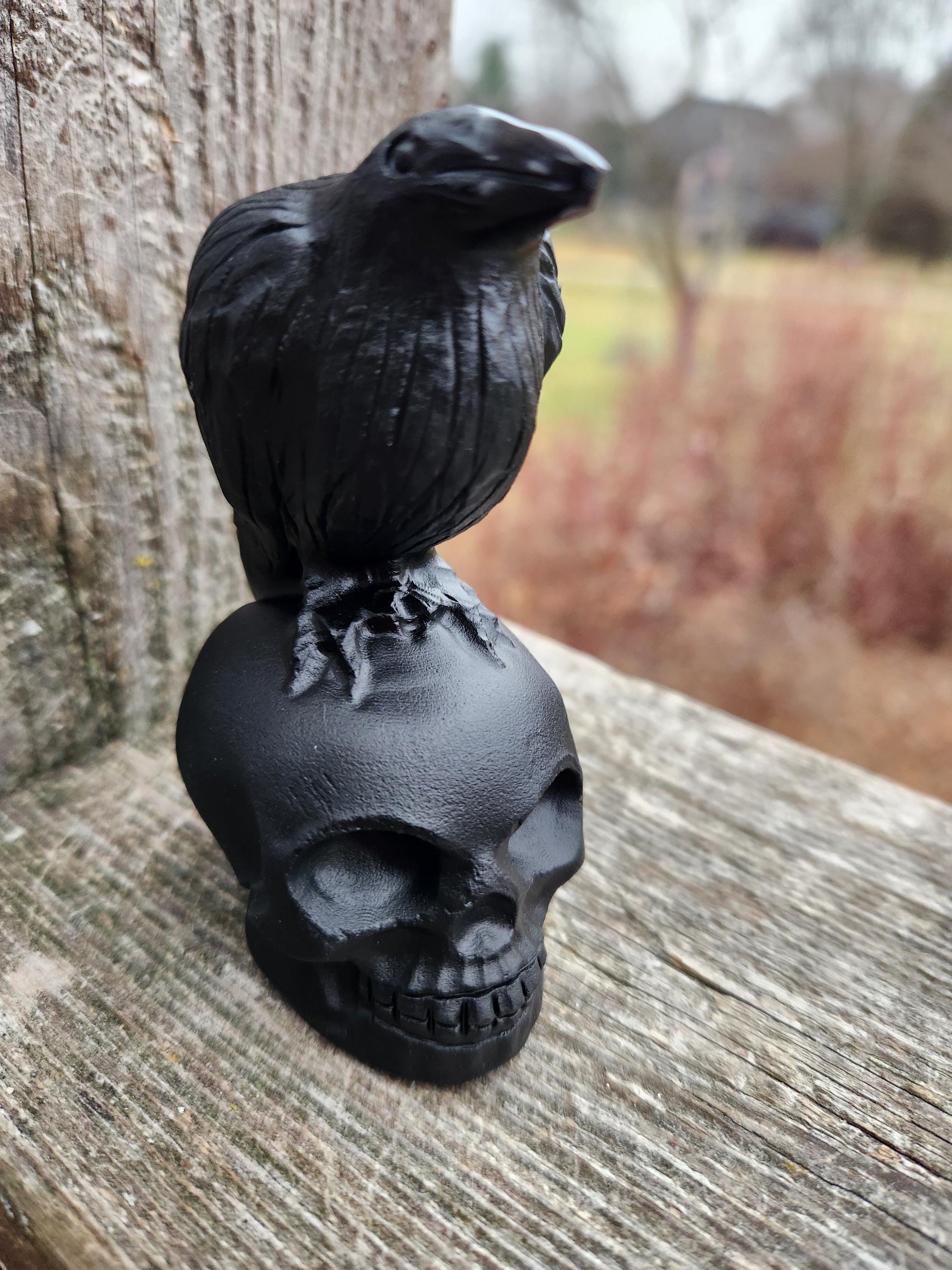 Carved Black Obsidian Crow Raven on Skull: Natural Crystal Raven Figurine