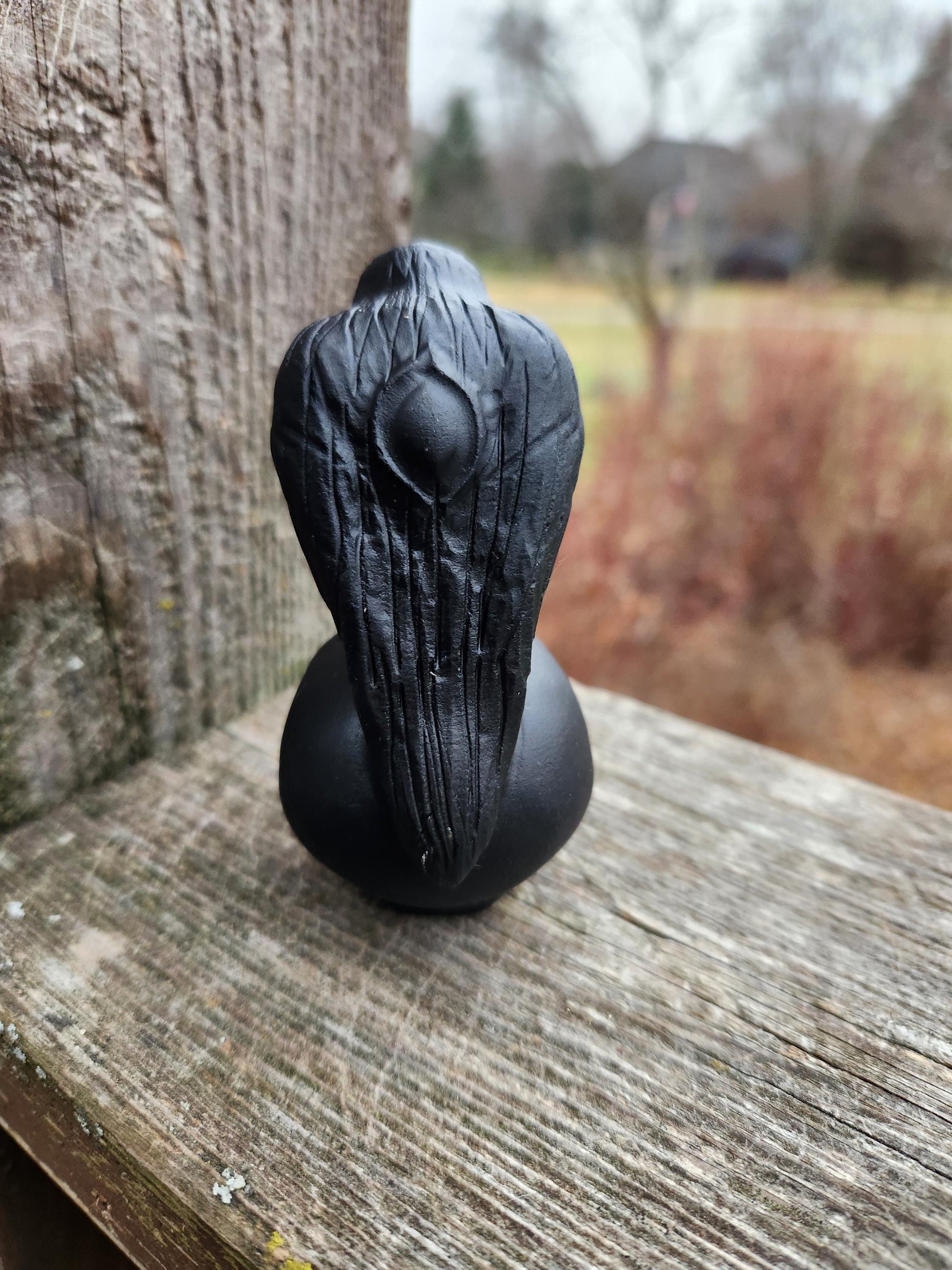 Carved Black Obsidian Crow Raven on Skull: Natural Crystal Raven Figurine
