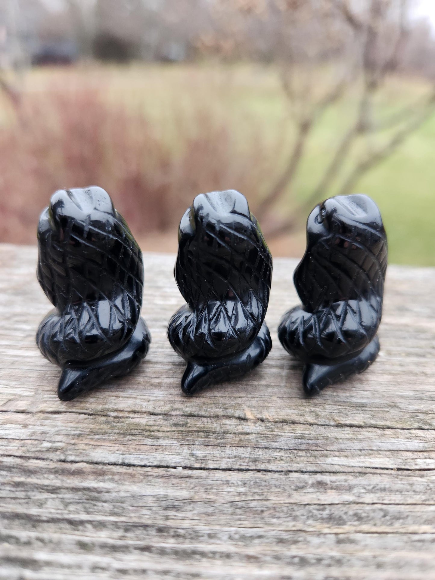 Carved Black Obsidian Cobra Snake: Crystal Carving, One