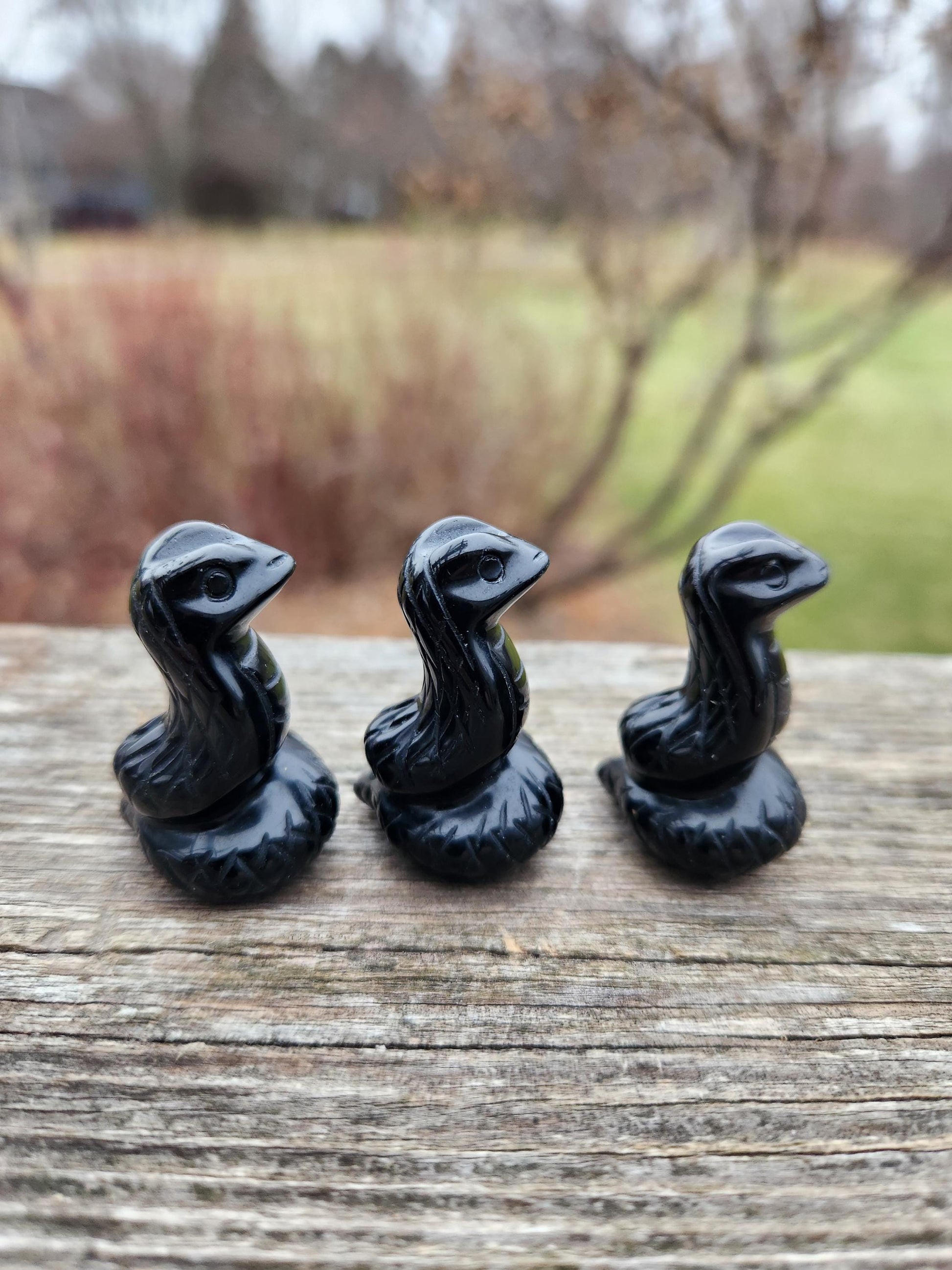 Carved Black Obsidian Cobra Snake: Crystal Carving, One