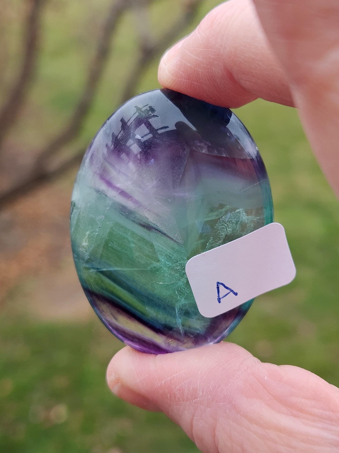 AAA Green & Purple Fluorite Crystal Palm, One