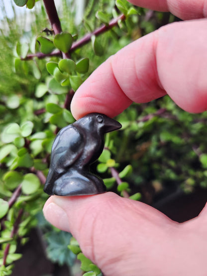 Carved Silver Sheen Obsidian Crow: Natural Crystal Raven Figurine, Small