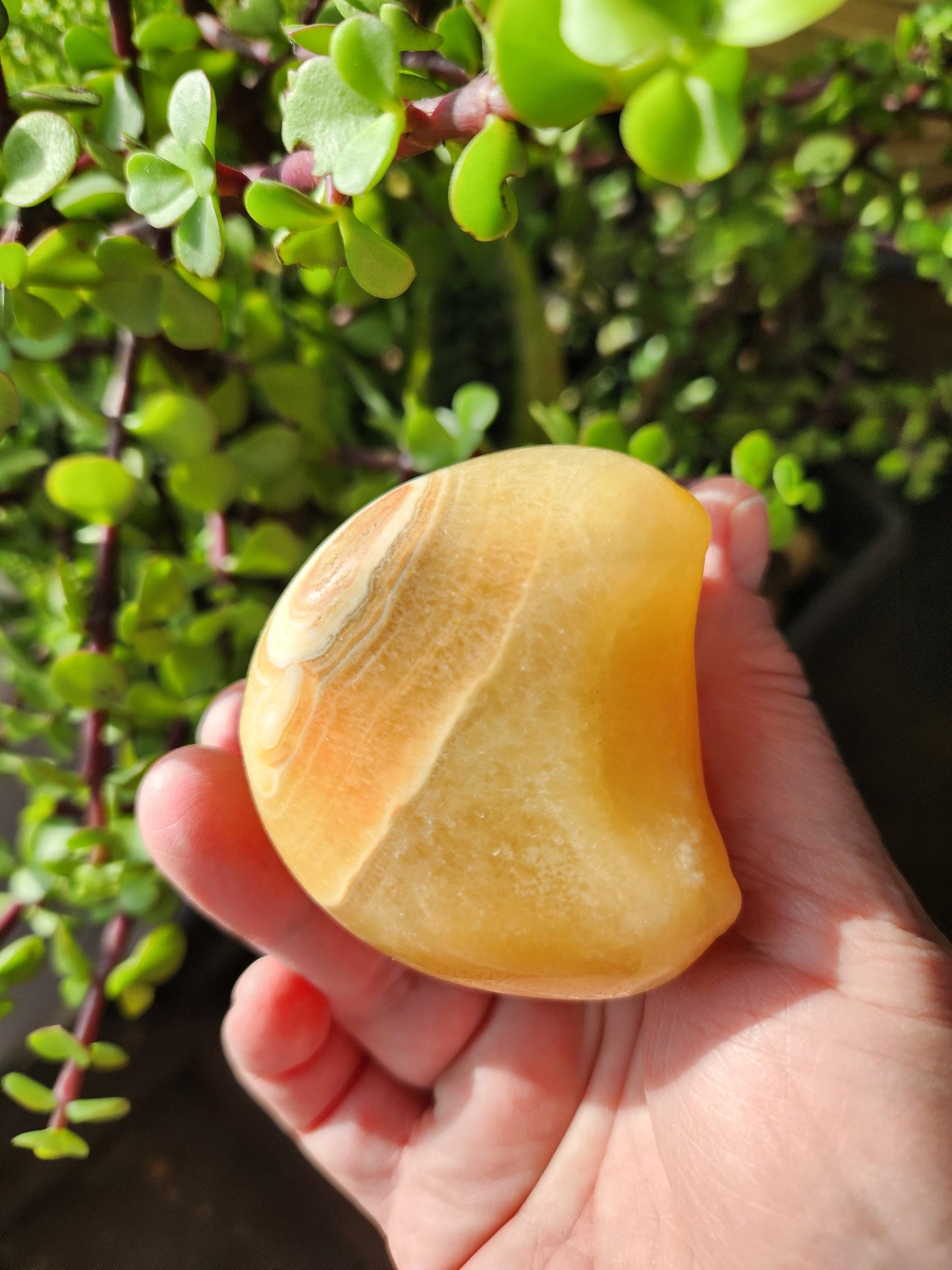 Super Cute BIG Yellow Calcite Pikachu Natural Stone Crystal Pokemon