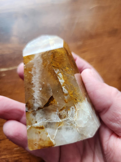 AAA Golden Healer Crystal Tower Point - Brazil Origin, Dendrite