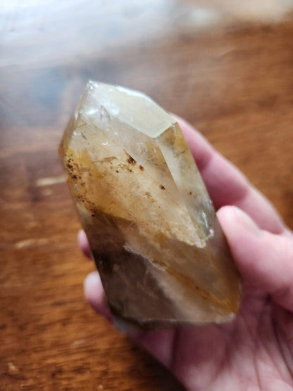 AAA Golden Healer Crystal Tower Point - Brazil Origin, Dendrite