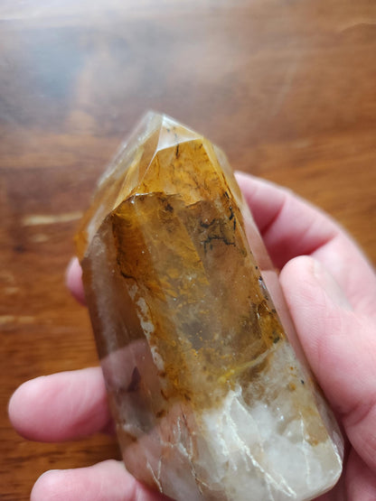 AAA Golden Healer Crystal Tower Point - Brazil Origin, Dendrite