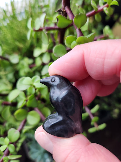 Carved Silver Sheen Obsidian Crow: Natural Crystal Raven Figurine, Small