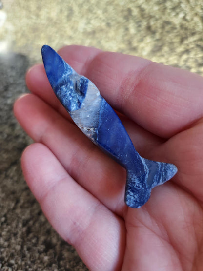 Mini Sodalite Dolphin Crystal Carving - High Polish, Brazil