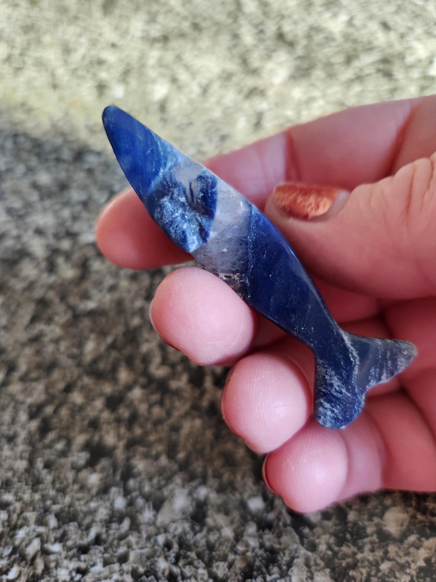 Mini Sodalite Dolphin Crystal Carving - High Polish, Brazil