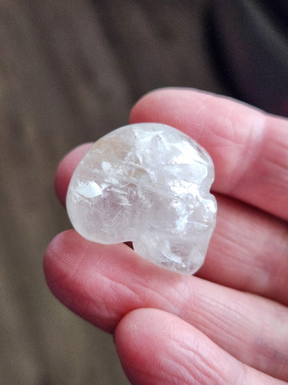 AAA Clear Quartz with Golden Healer Crystal Mini Skull - Natural Brazilian Stone