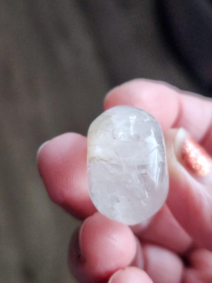AAA Clear Quartz with Golden Healer Crystal Mini Skull - Natural Brazilian Stone