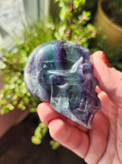 AAA Green & Purple Fluorite Crystal Skull