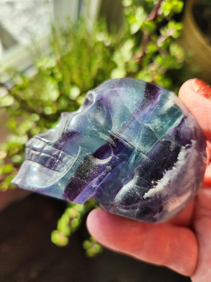 AAA Green & Purple Fluorite Crystal Skull