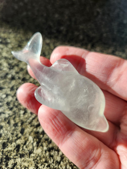 Mini Light Green Fluorite Dolphin Crystal Carving - High Polish