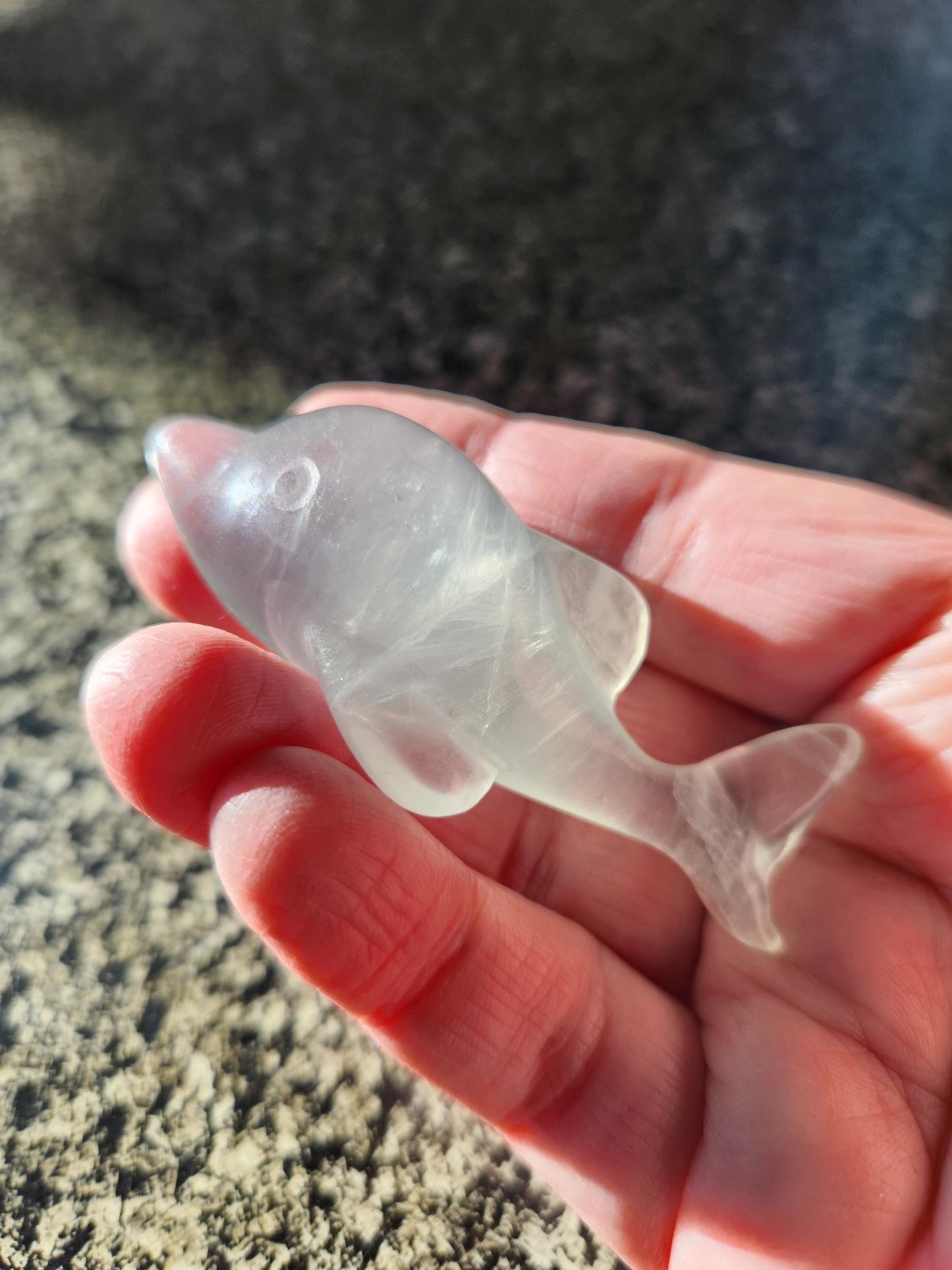 Mini Light Green Fluorite Dolphin Crystal Carving - High Polish