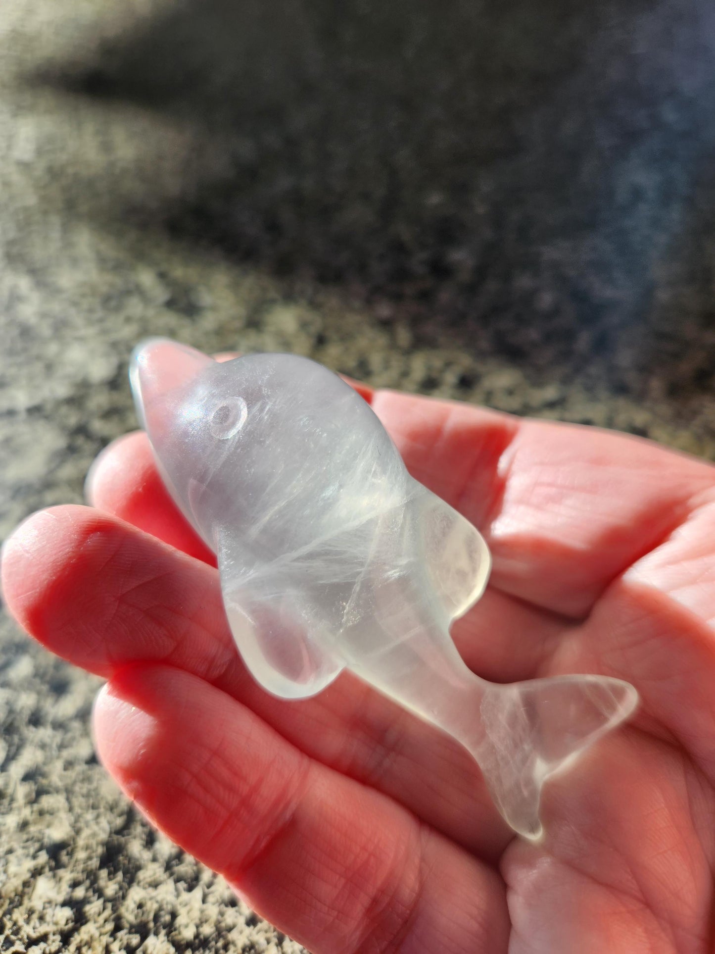 Mini Light Green Fluorite Dolphin Crystal Carving - High Polish