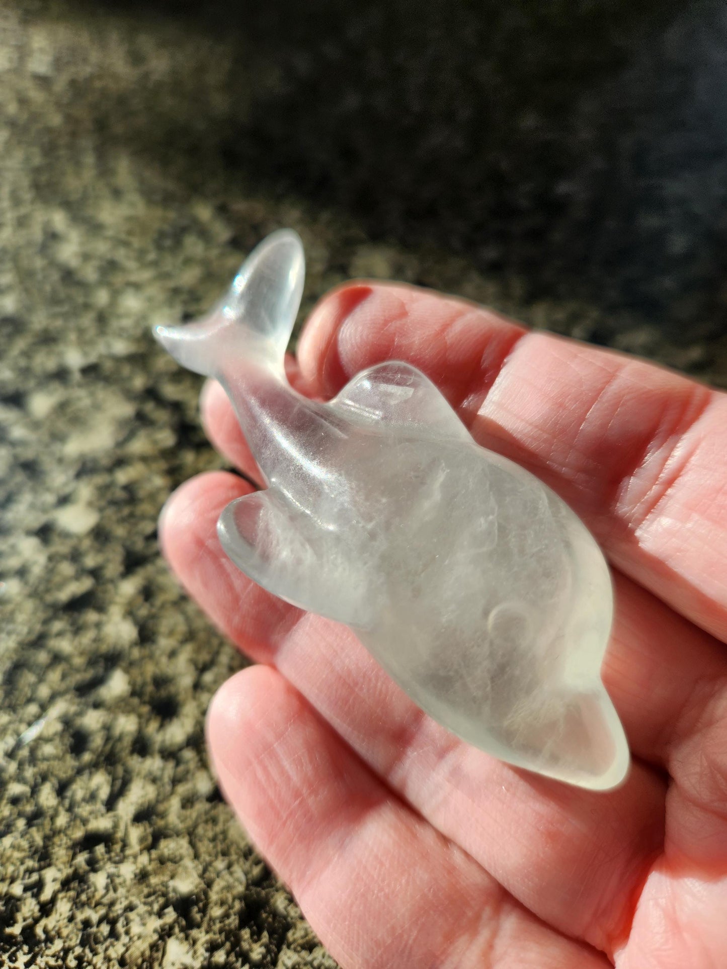 Mini Light Green Fluorite Dolphin Crystal Carving - High Polish