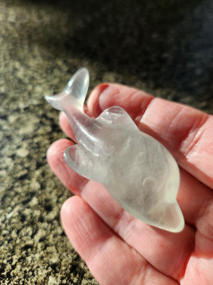 Mini Light Green Fluorite Dolphin Crystal Carving - High Polish