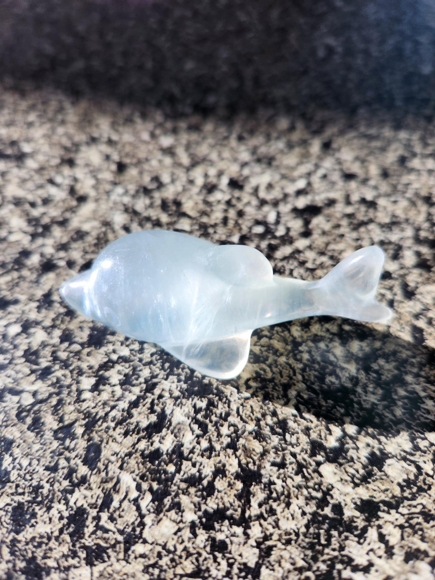 Mini Light Green Fluorite Dolphin Crystal Carving - High Polish