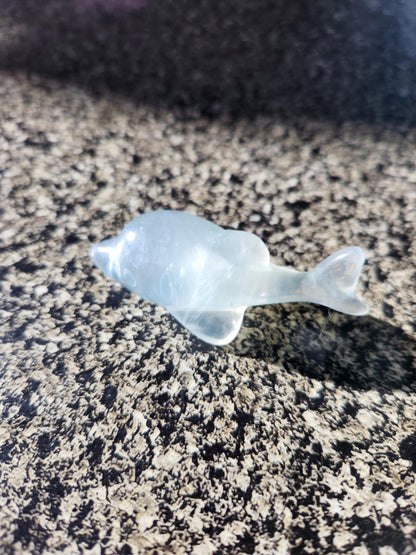 Mini Light Green Fluorite Dolphin Crystal Carving - High Polish