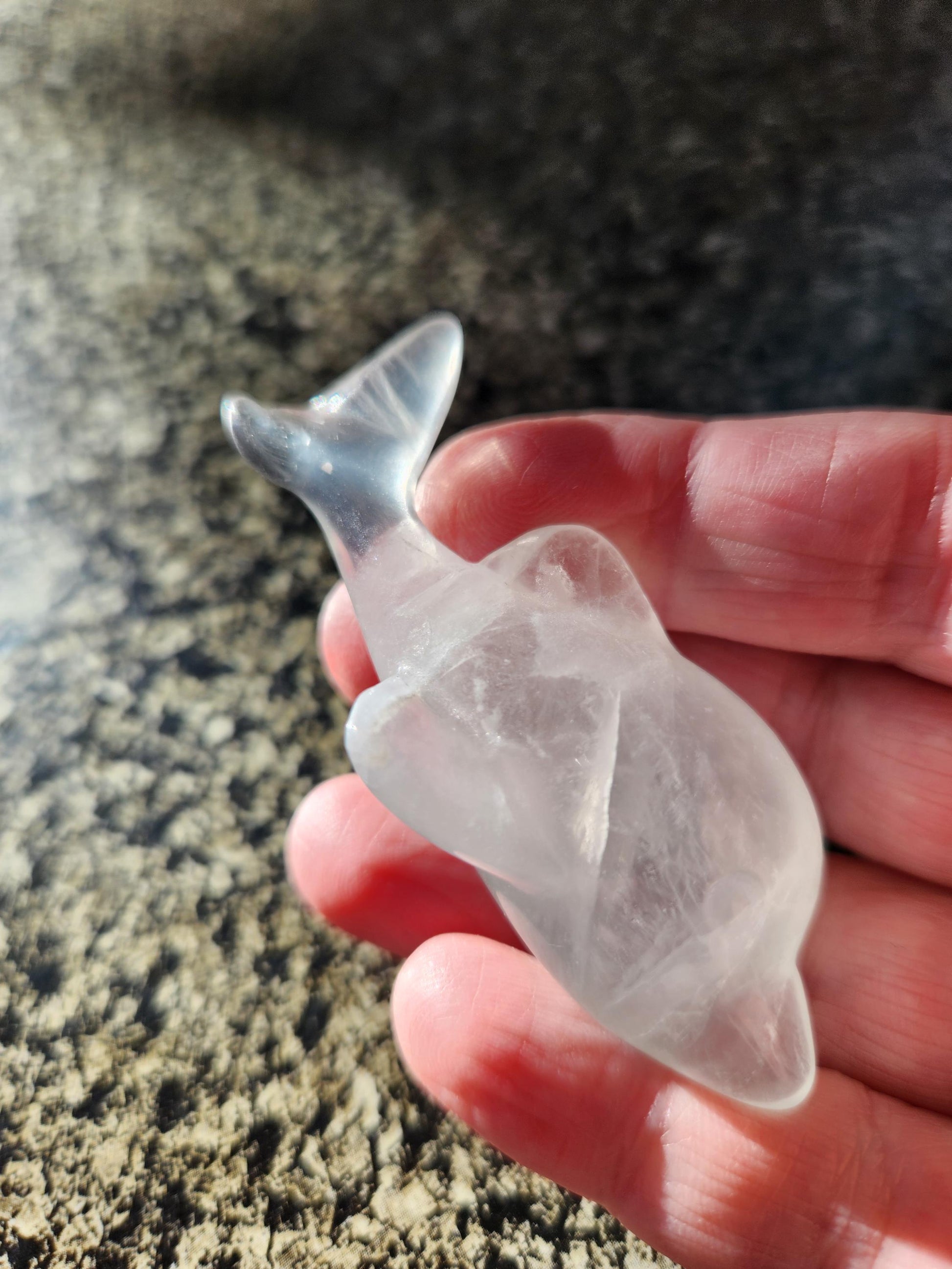 Mini Light Green Fluorite Dolphin Crystal Carving - High Polish