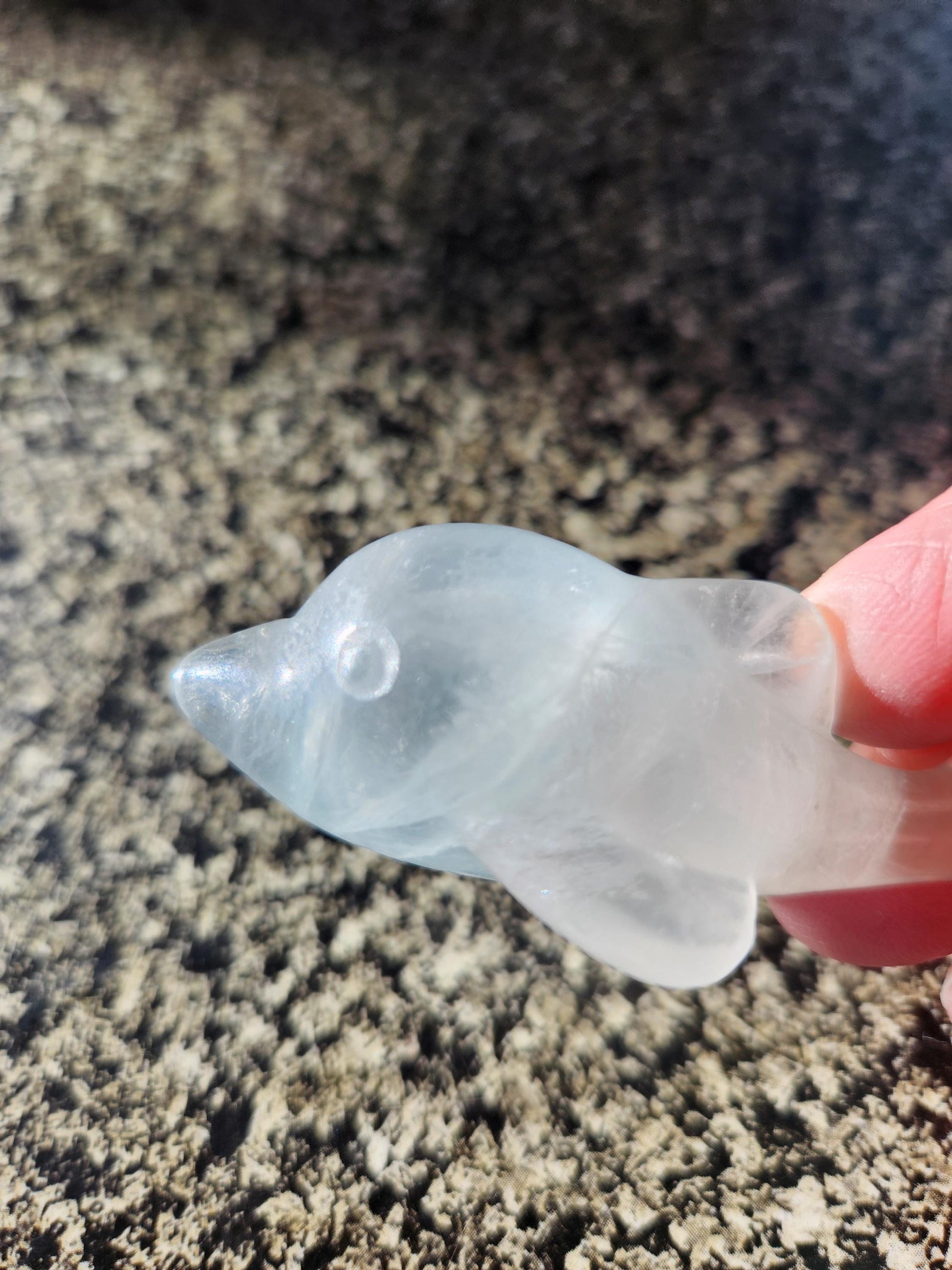 Mini Light Green Fluorite Dolphin Crystal Carving - High Polish
