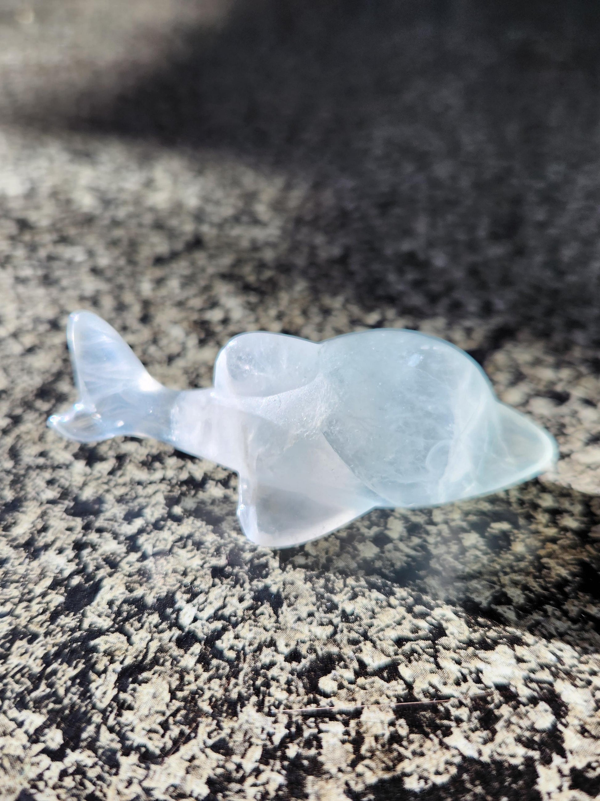 Mini Light Green Fluorite Dolphin Crystal Carving - High Polish