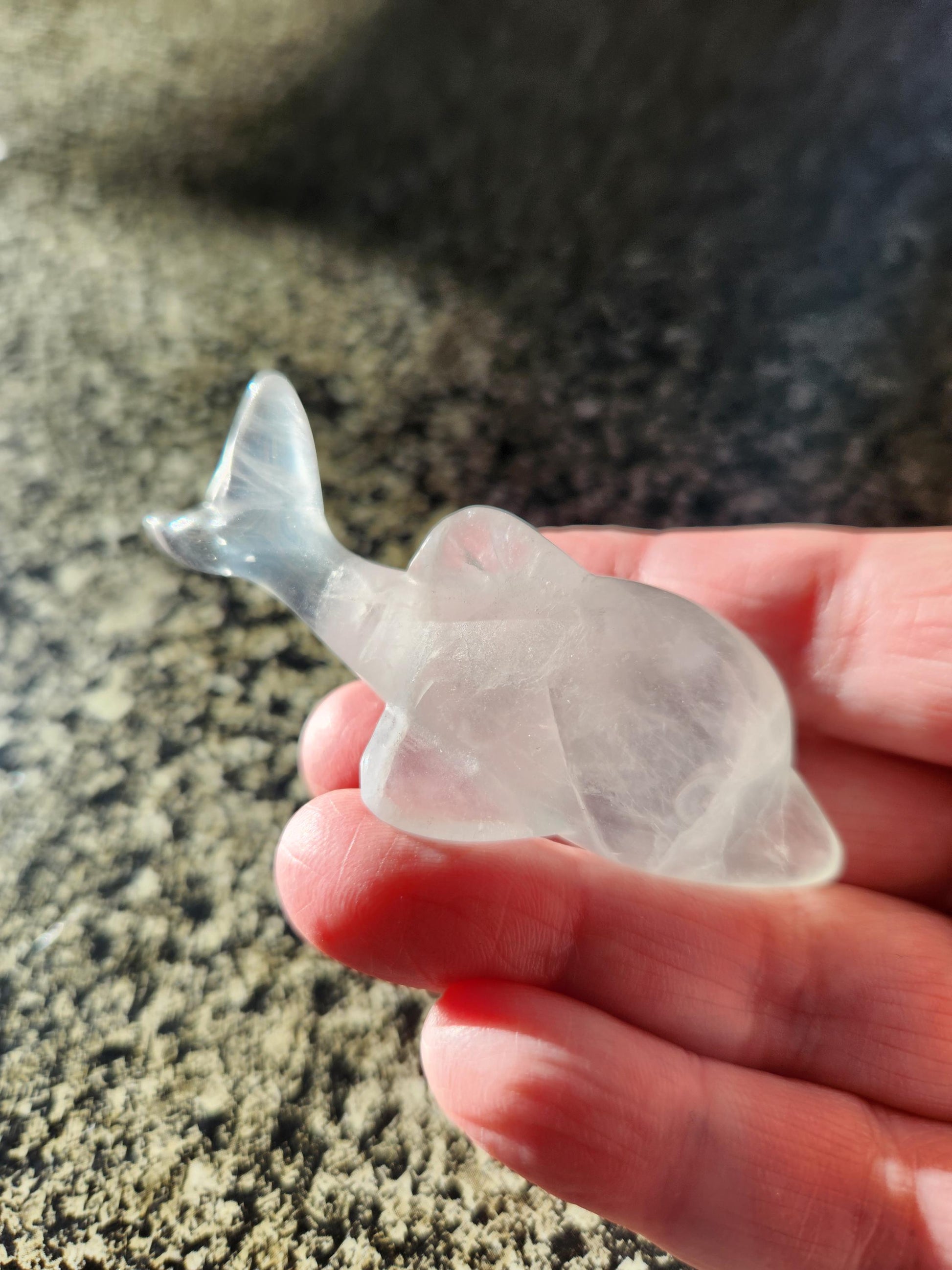 Mini Light Green Fluorite Dolphin Crystal Carving - High Polish