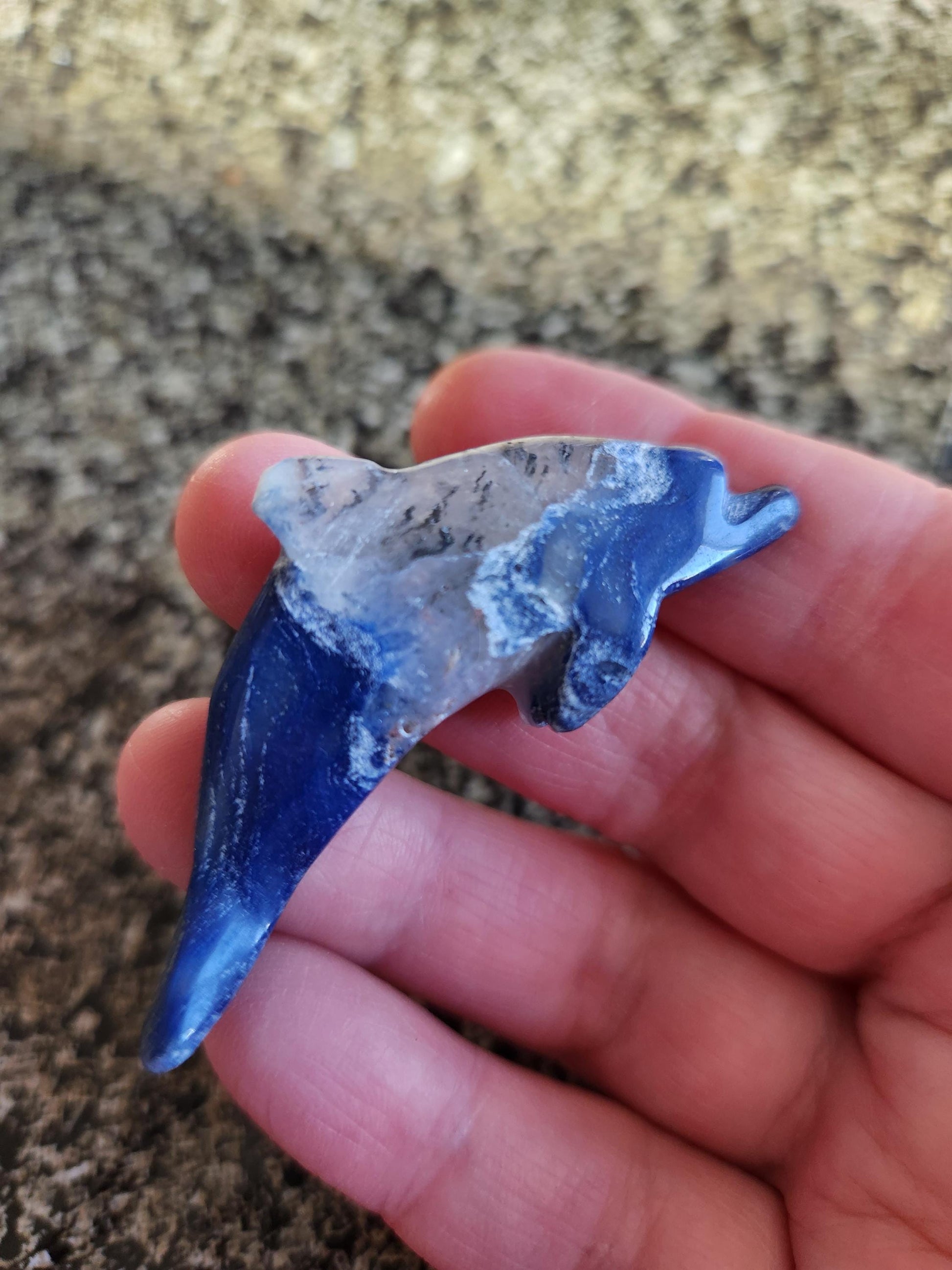 Mini Sodalite Dolphin Crystal Carving - High Polish, Brazil