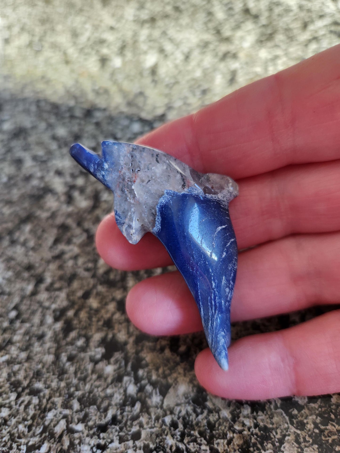 Mini Sodalite Dolphin Crystal Carving - High Polish, Brazil