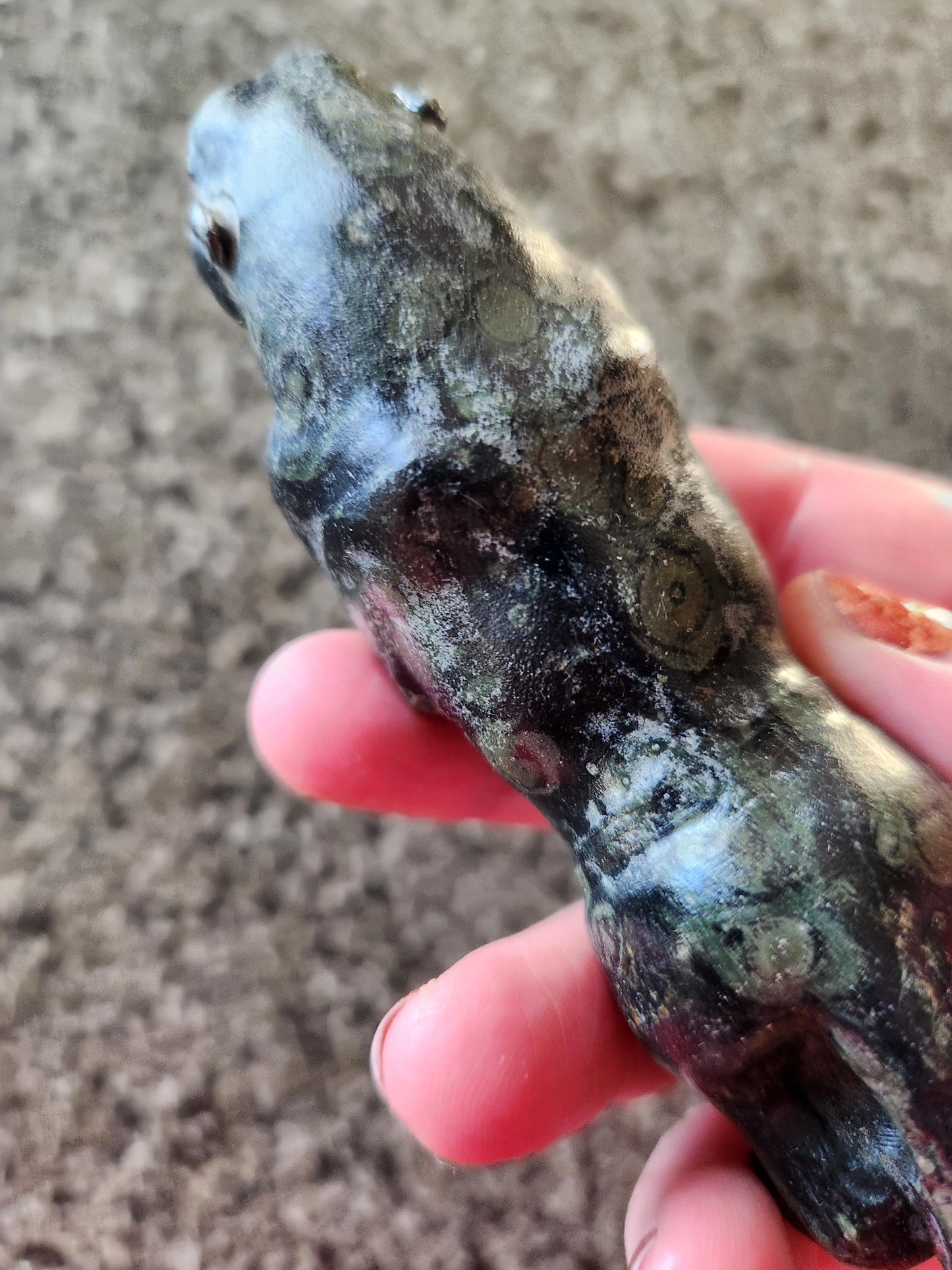 Jaguar Carved Kambaba Jasper Stone Natural Stone Crystal, Big Cat