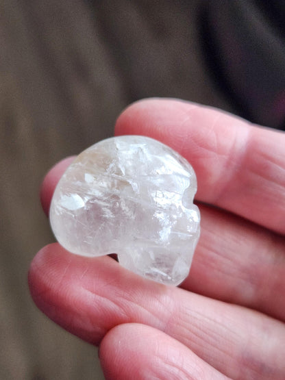 AAA Clear Quartz with Golden Healer Crystal Mini Skull - Natural Brazilian Stone