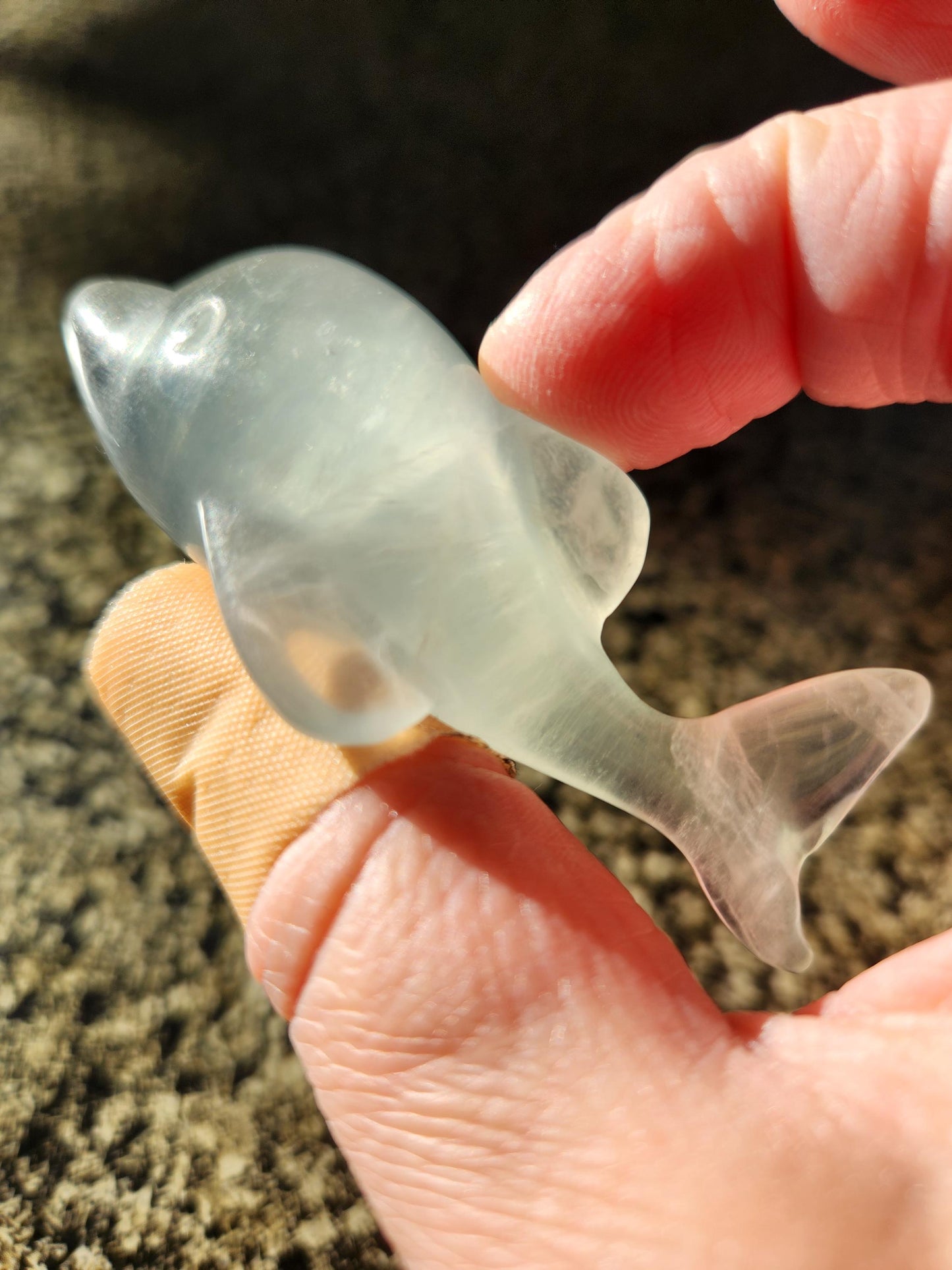 Mini Light Green Fluorite Dolphin Crystal Carving - High Polish