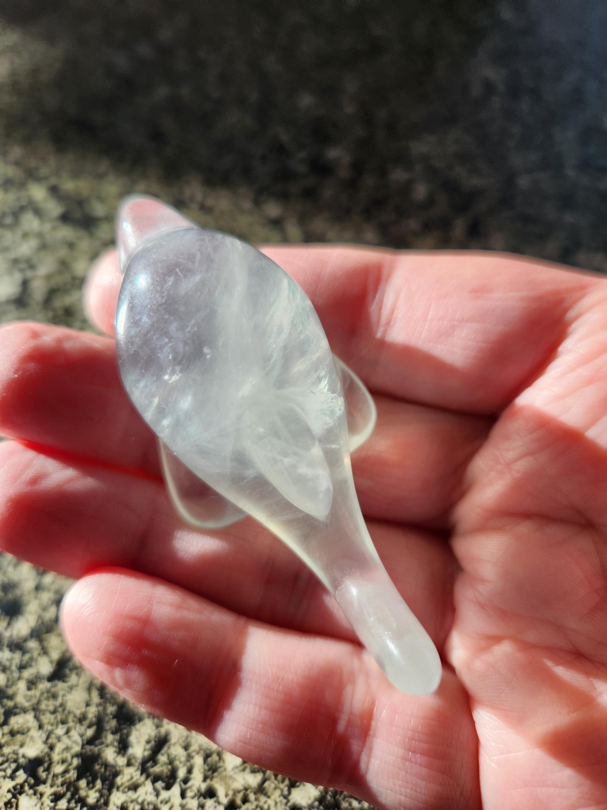 Mini Light Green Fluorite Dolphin Crystal Carving - High Polish