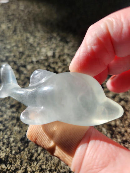 Mini Light Green Fluorite Dolphin Crystal Carving - High Polish