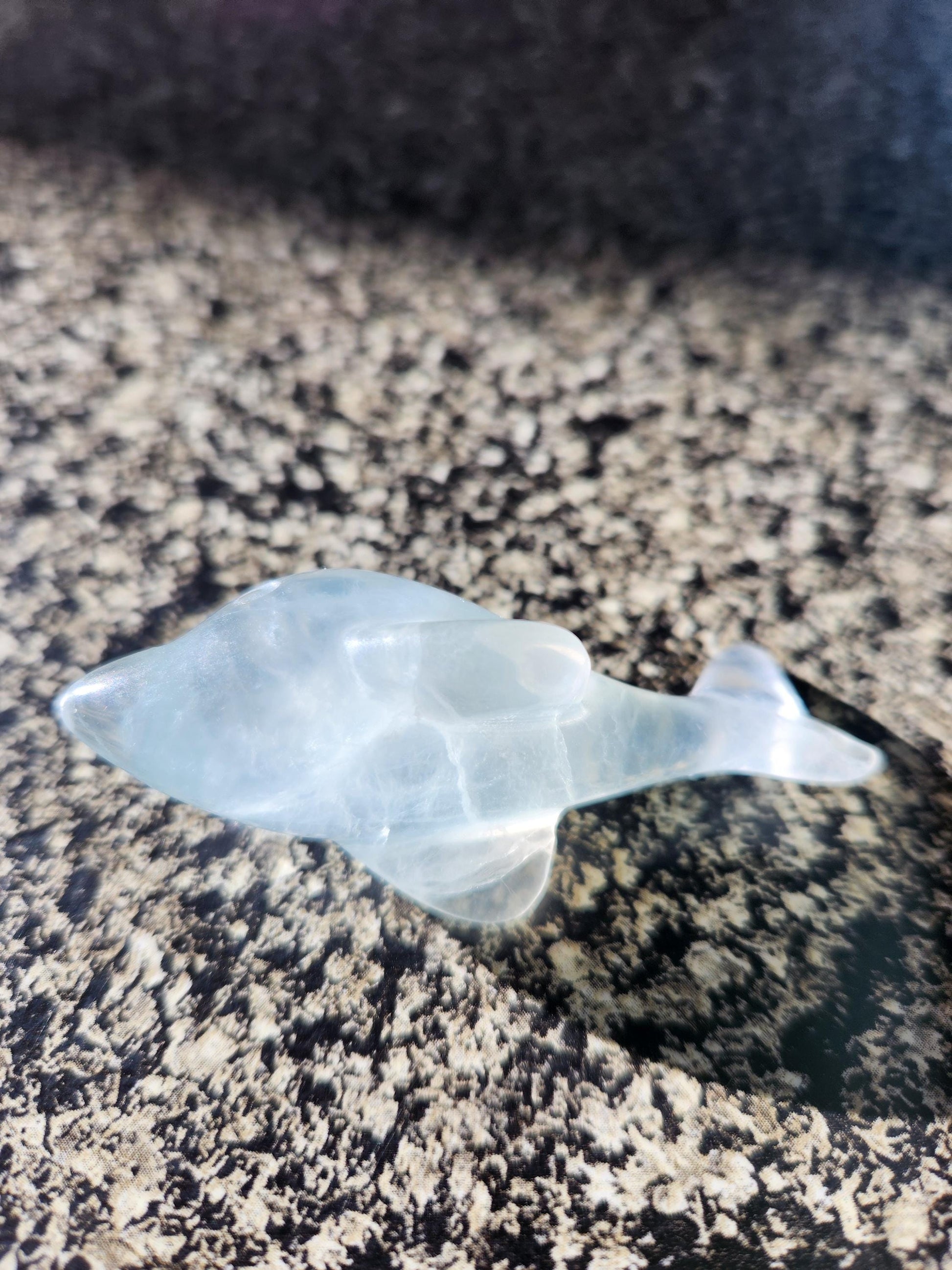 Mini Light Green Fluorite Dolphin Crystal Carving - High Polish