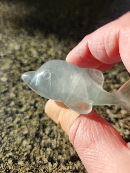 Mini Light Green Fluorite Dolphin Crystal Carving - High Polish