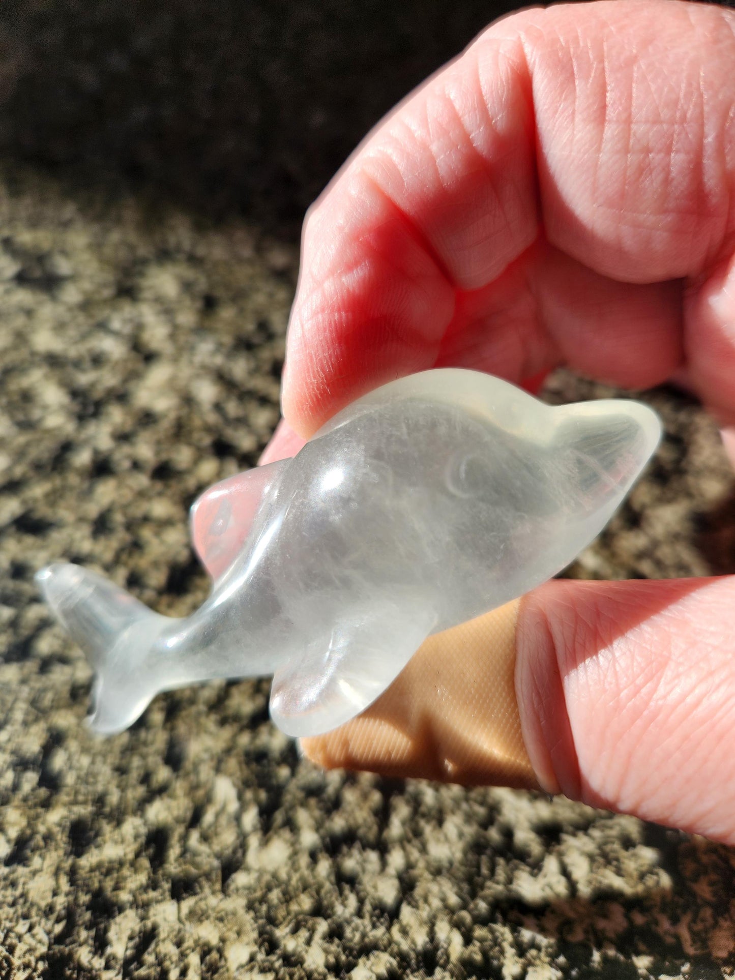 Mini Light Green Fluorite Dolphin Crystal Carving - High Polish