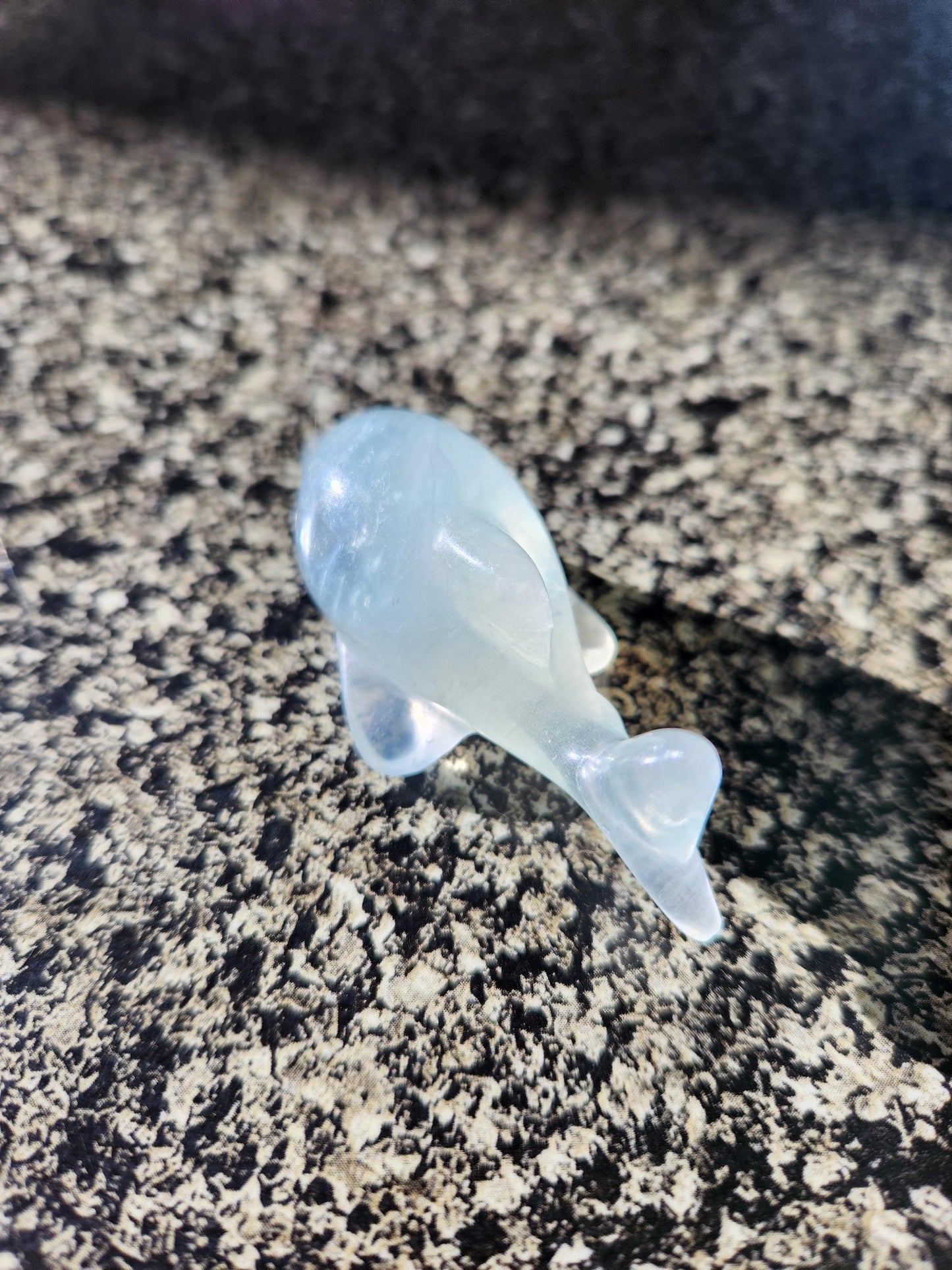 Mini Light Green Fluorite Dolphin Crystal Carving - High Polish