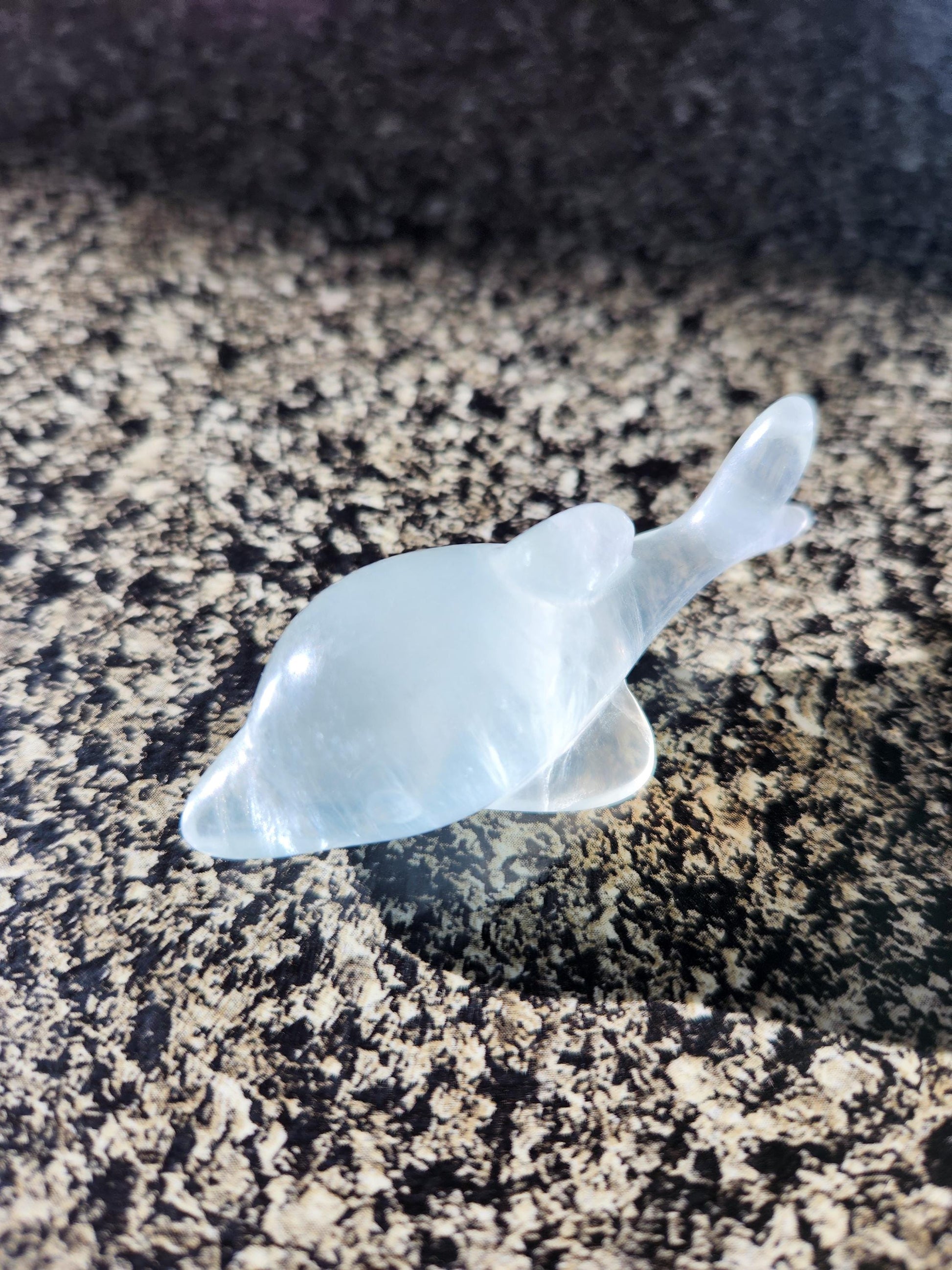 Mini Light Green Fluorite Dolphin Crystal Carving - High Polish